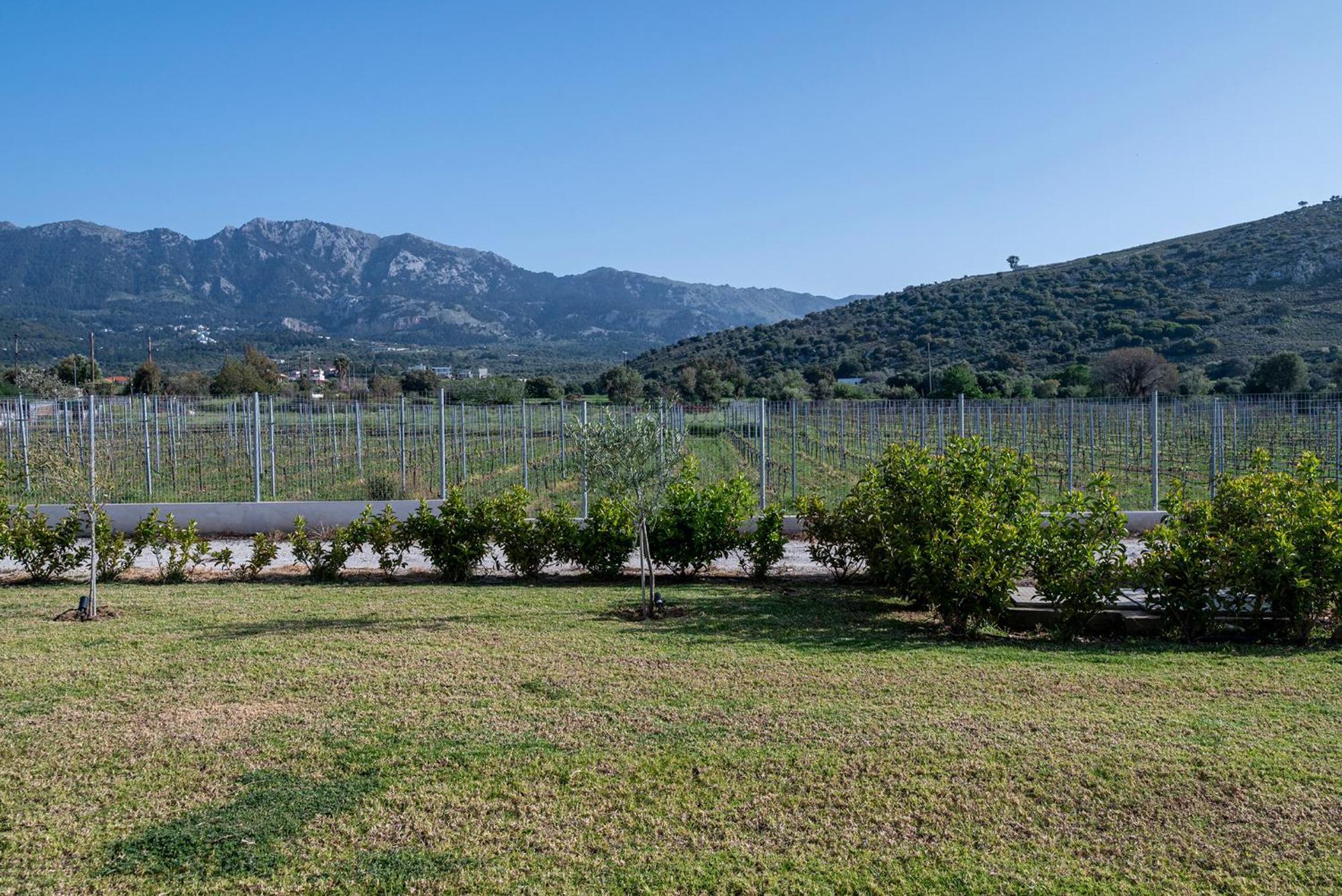 Olive Tree Garden Villa Linopotis Exterior photo